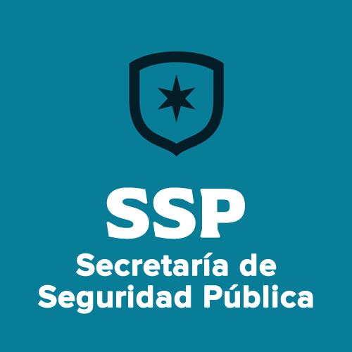 Secretaría de Seguridad Pública